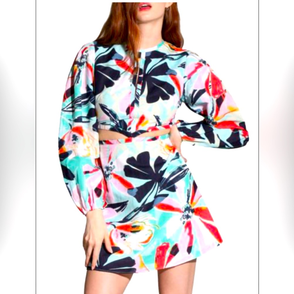 Walter Baker Dress